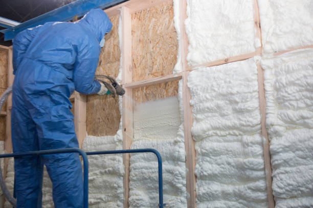 Best Radiant Barrier Insulation  in Grovetown, GA